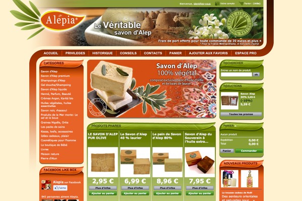 webdesign-alepia-site-classic