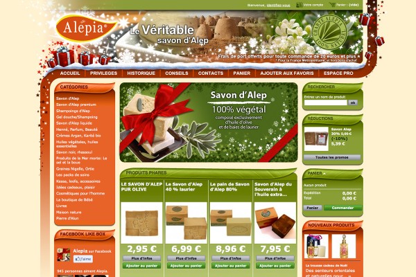 webdesign-alepia-site-noel