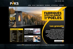 webdesign-piks-1