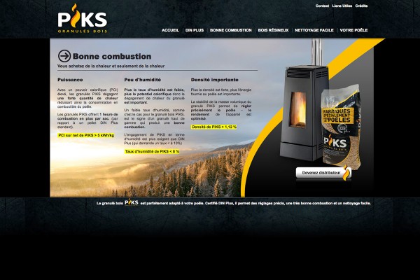 webdesign-piks-2