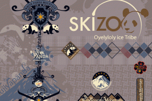 design-graphique-skizoo