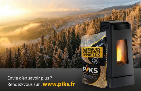 edition-affiche-piks-2