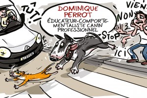 illustration-educateur-canin-3