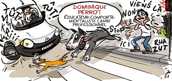 illustration-educateur-canin-3